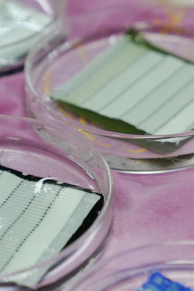 Nantong Tianhong Textil Technology Co., Ltd.