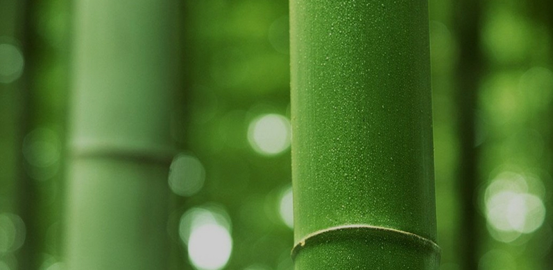 Nantong Tianhong Textil Technology Co., Ltd.